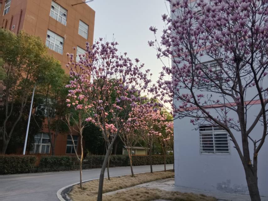 葛娟个人生活照1