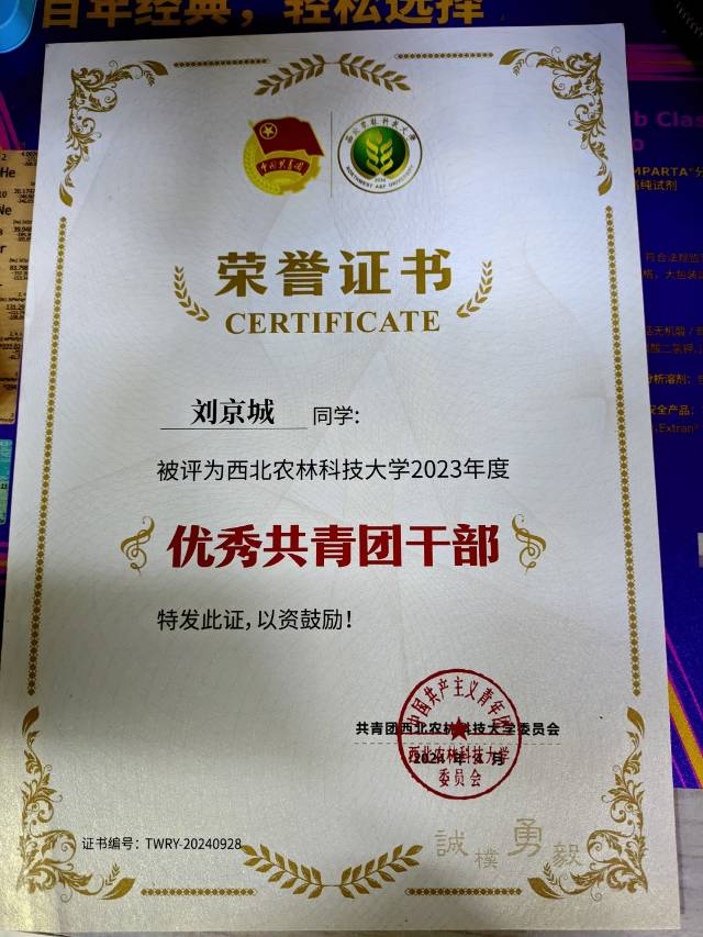 刘京城个人生活照7