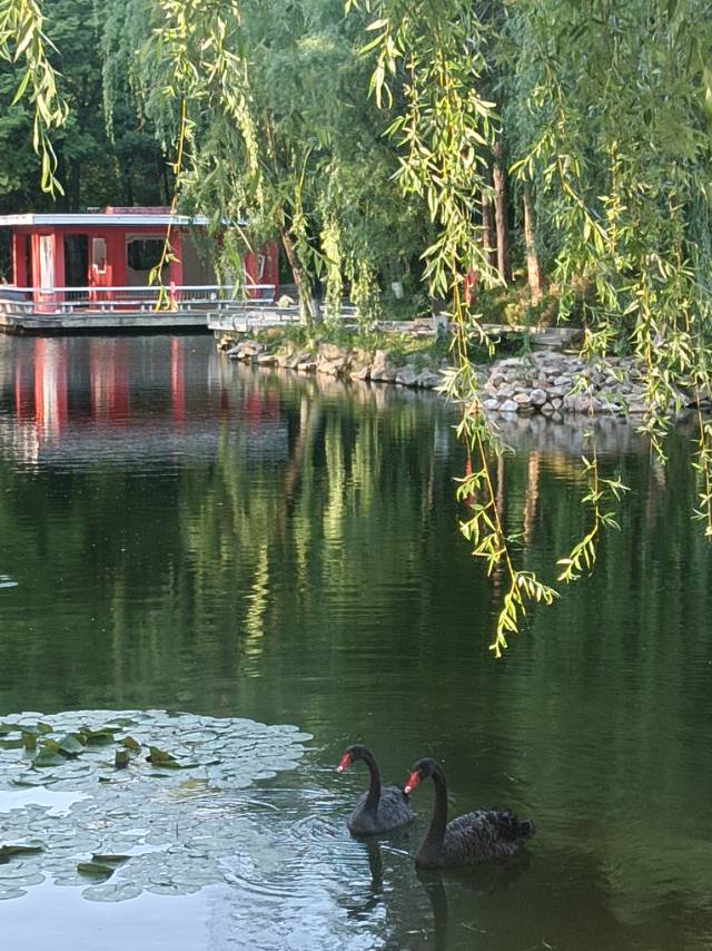 陈琪钰个人生活照1