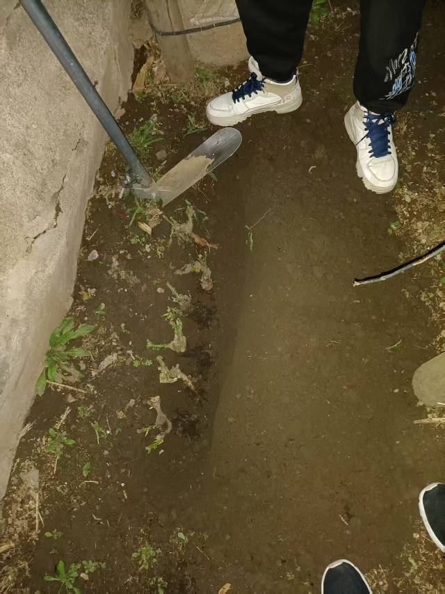 李昊阳个人生活照1