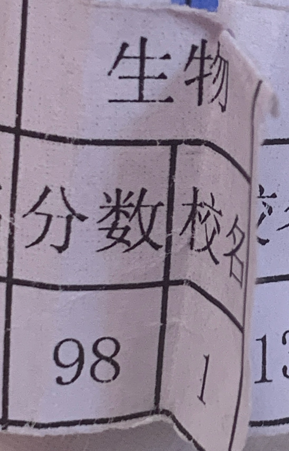 艾丽菲娅个人生活照1