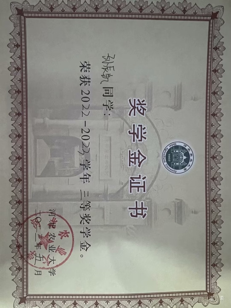 孙辰凯个人教学风采展示配图3