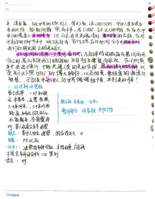 王晴悦个人教学风采展示配图6