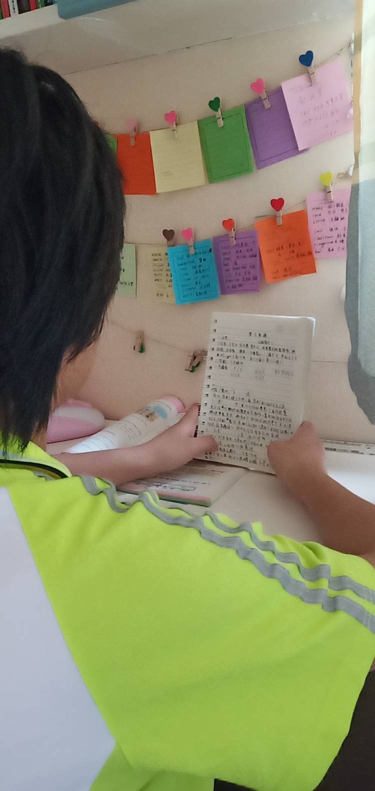 高乐梅个人教学风采展示配图1