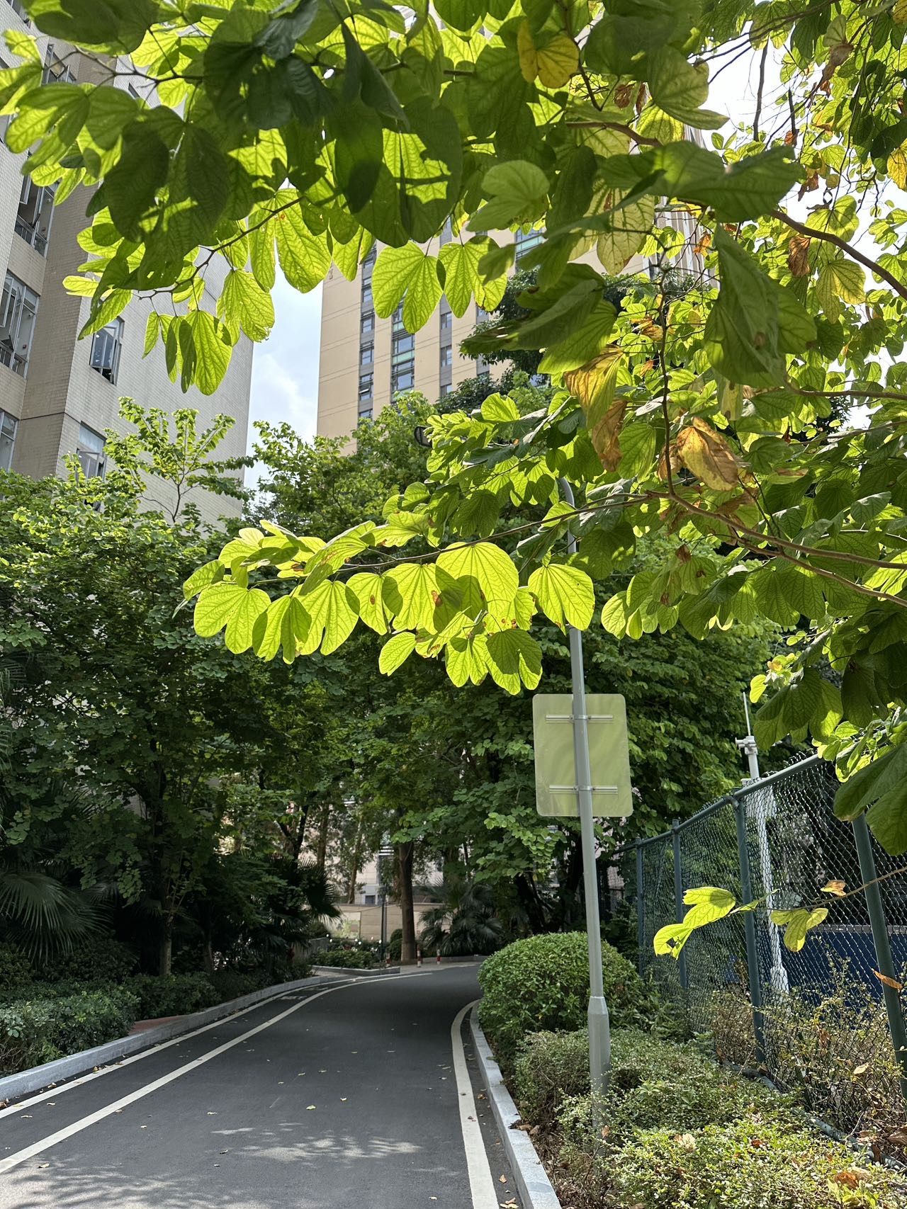 闫雅雯个人教学风采展示配图1