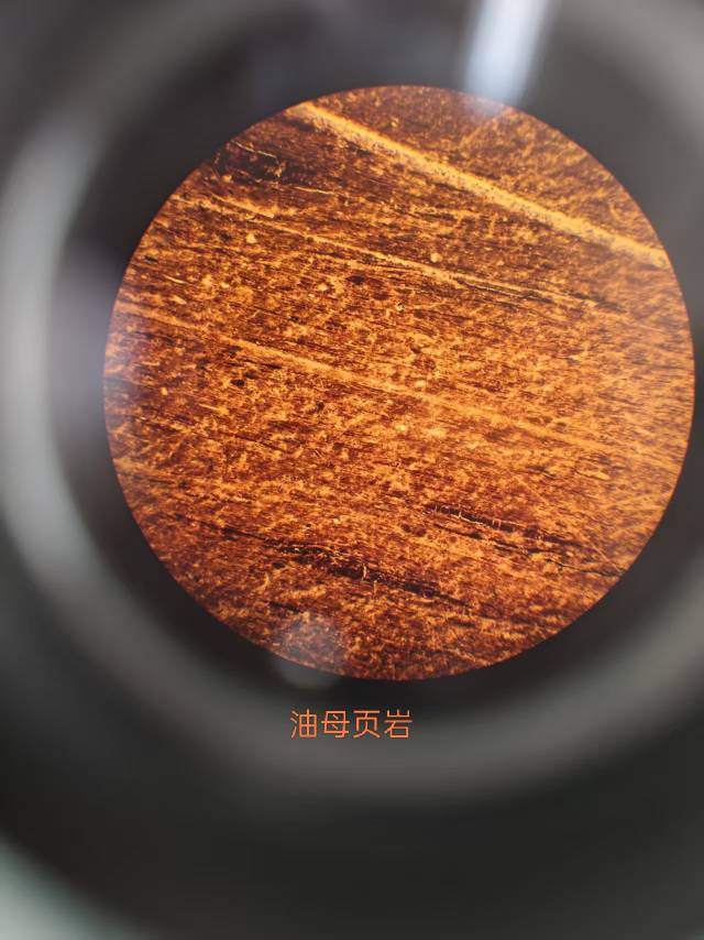 向东个人教学风采展示配图2