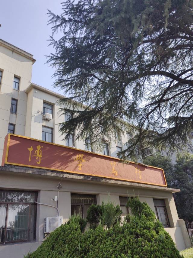 代安琪头像