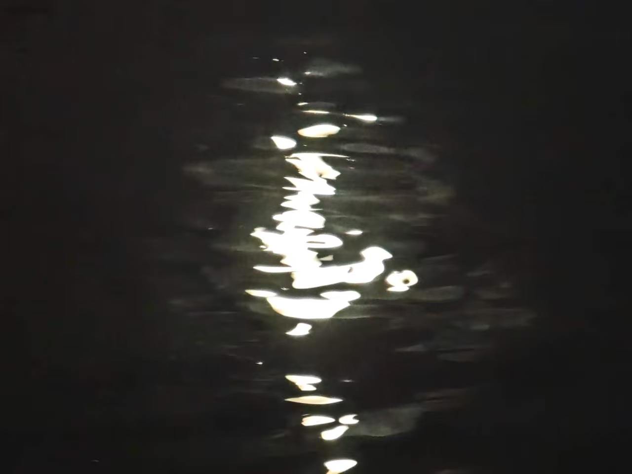 刘睿远的头像