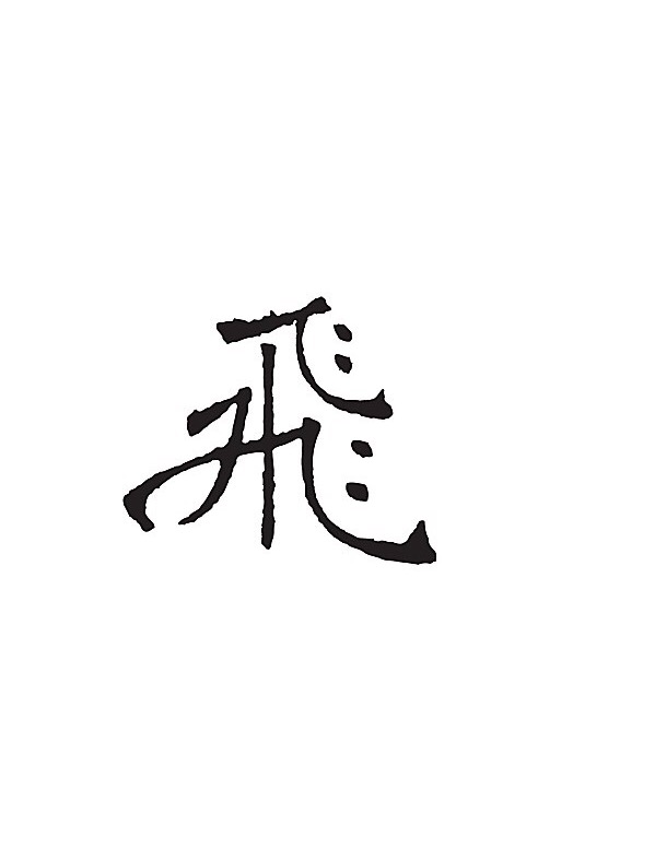 韩雪飞