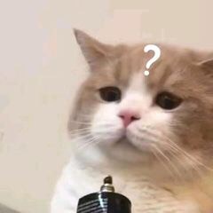 陶弥迦的头像