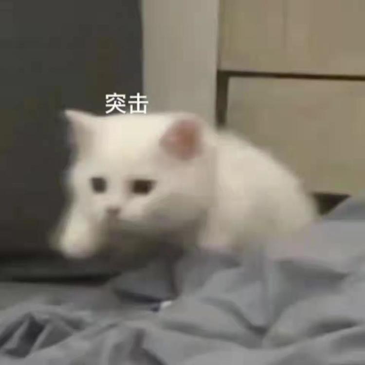 于小龙