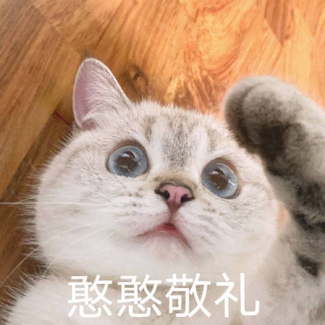 黎老师的头像