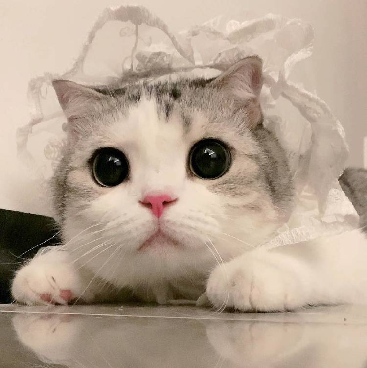 侯佳艺