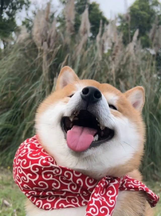郝龙飞