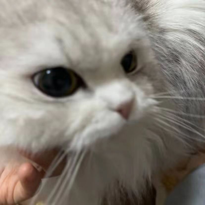 刘毅杰的头像