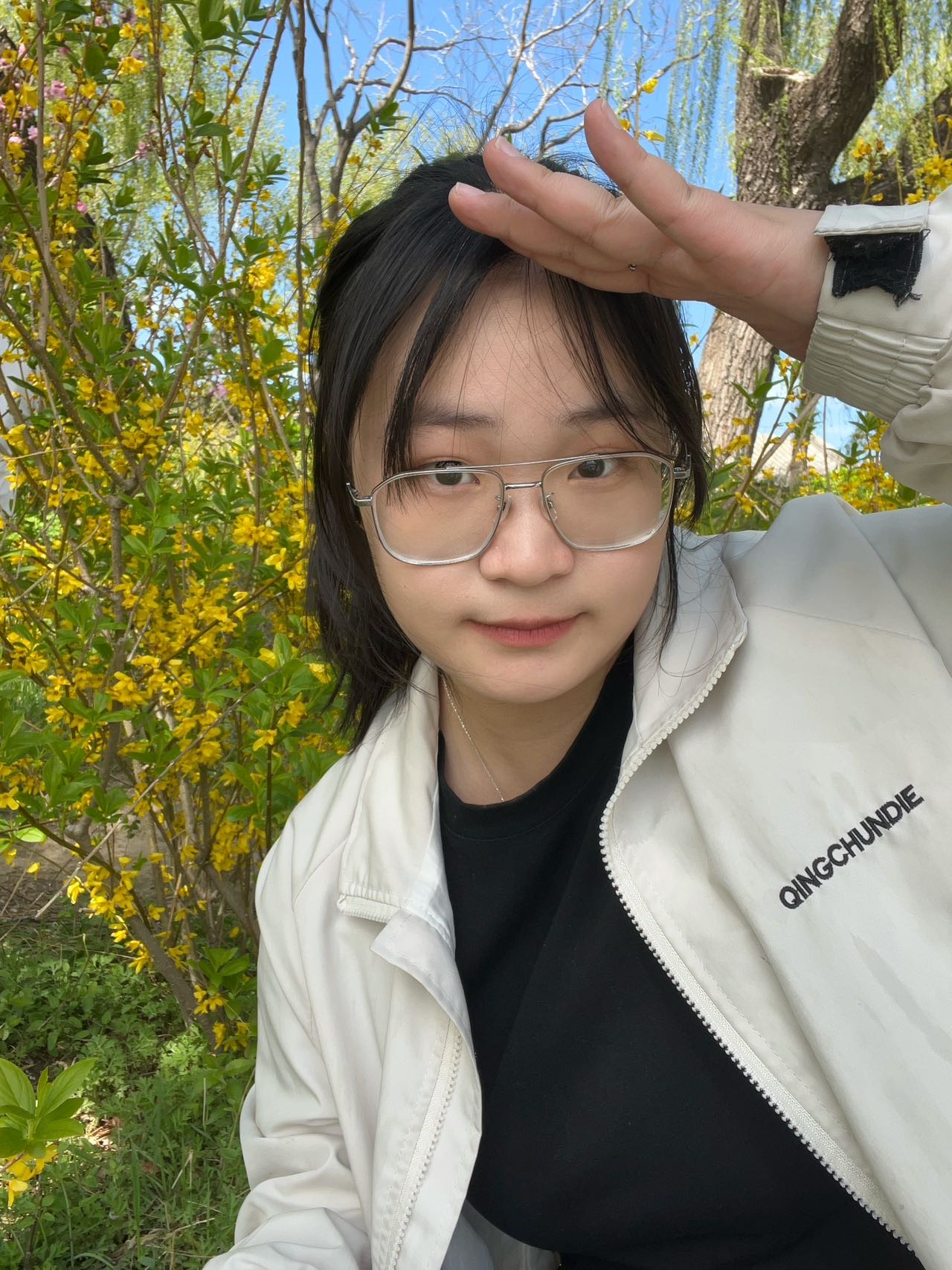 王盼盼