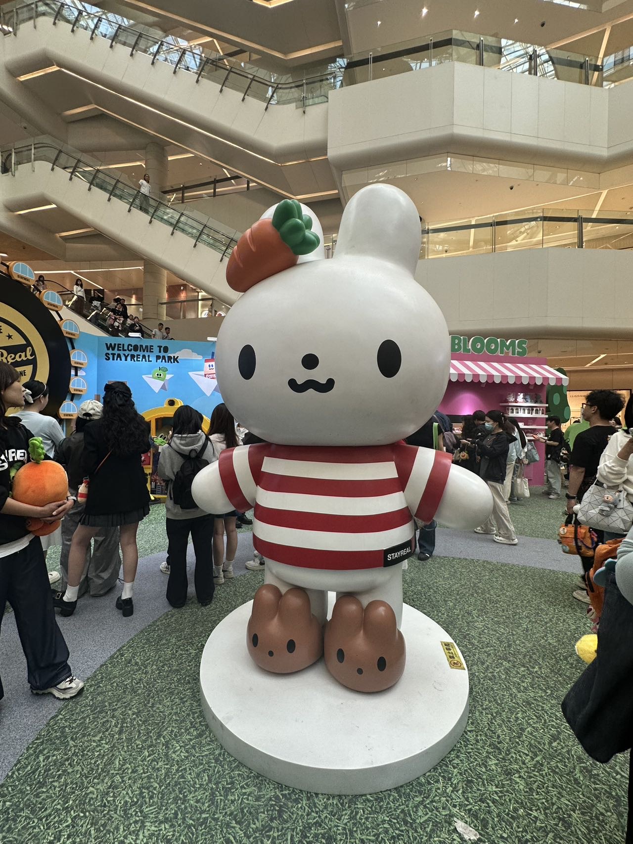 Mia的头像