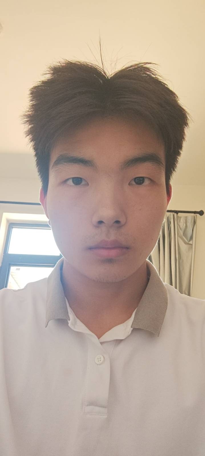 王礼赞