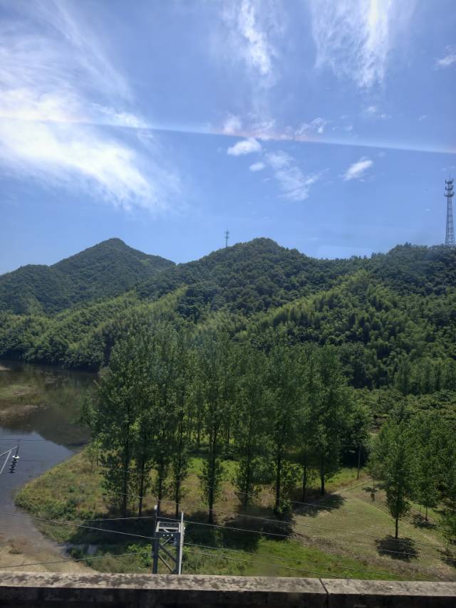蒋的头像