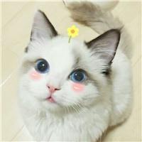 乔乔_北京家教老师