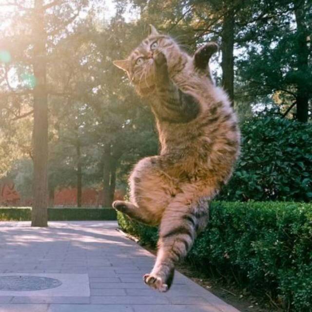 王锦华的头像