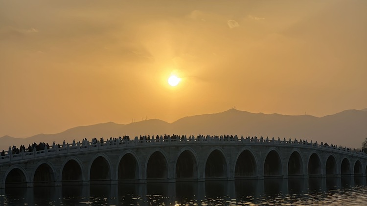 魏老师