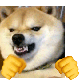 尹晓马