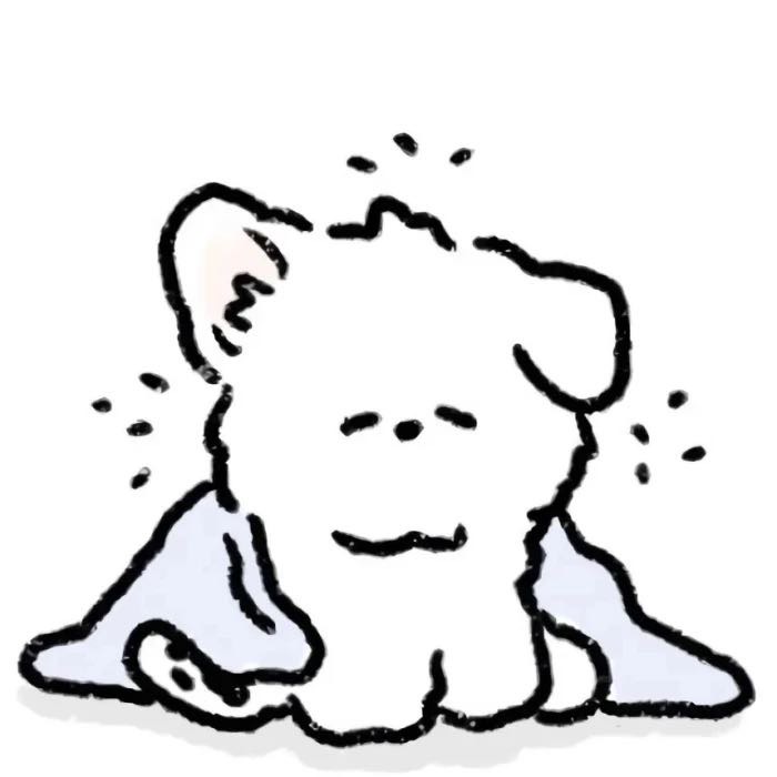 王敬涵的头像