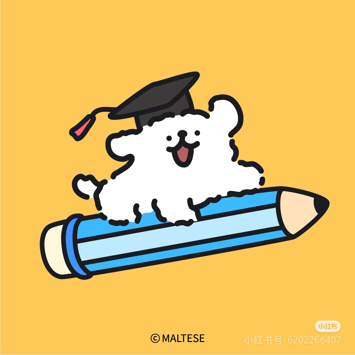 白蟾的头像