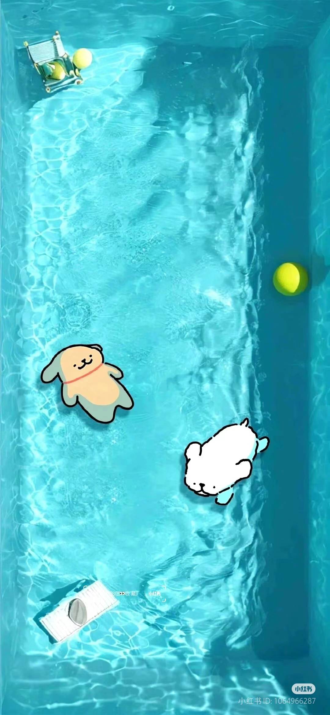 马纯的头像