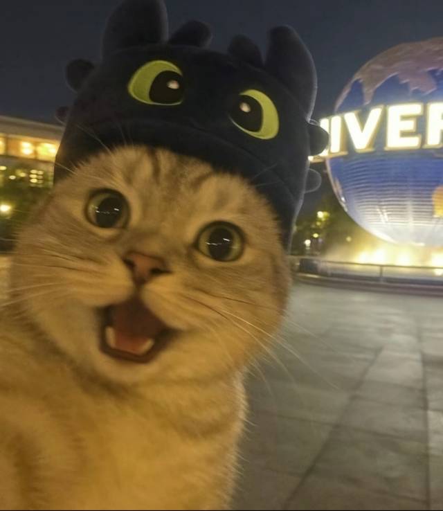 刘梓良的头像