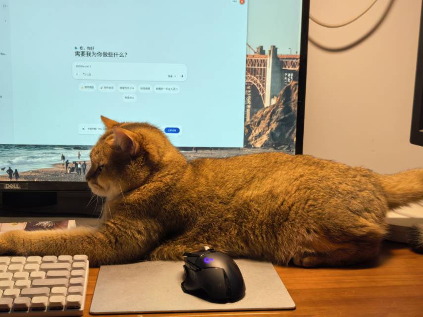 胡屹的头像