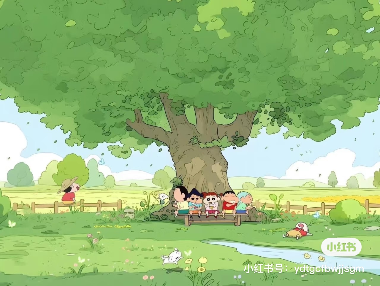 丁老师的头像