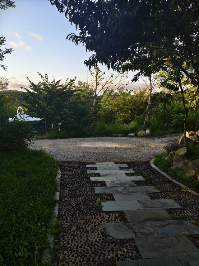 沈瑜洁的头像