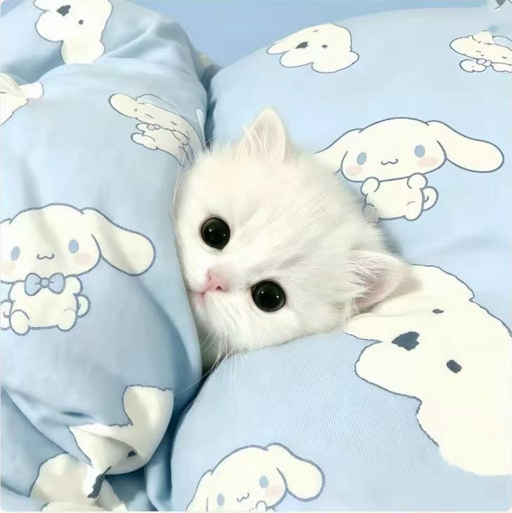 史航的头像